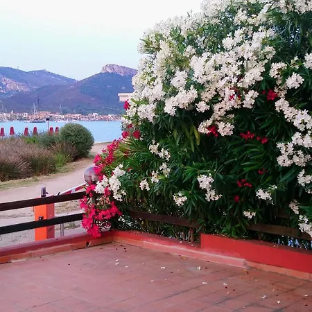 아파트 Casa Camelia *