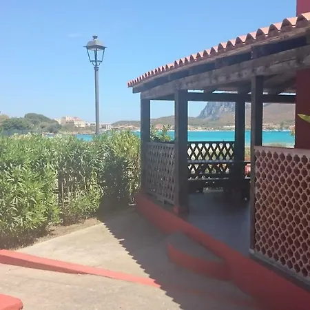 Casa Camelia 아파트